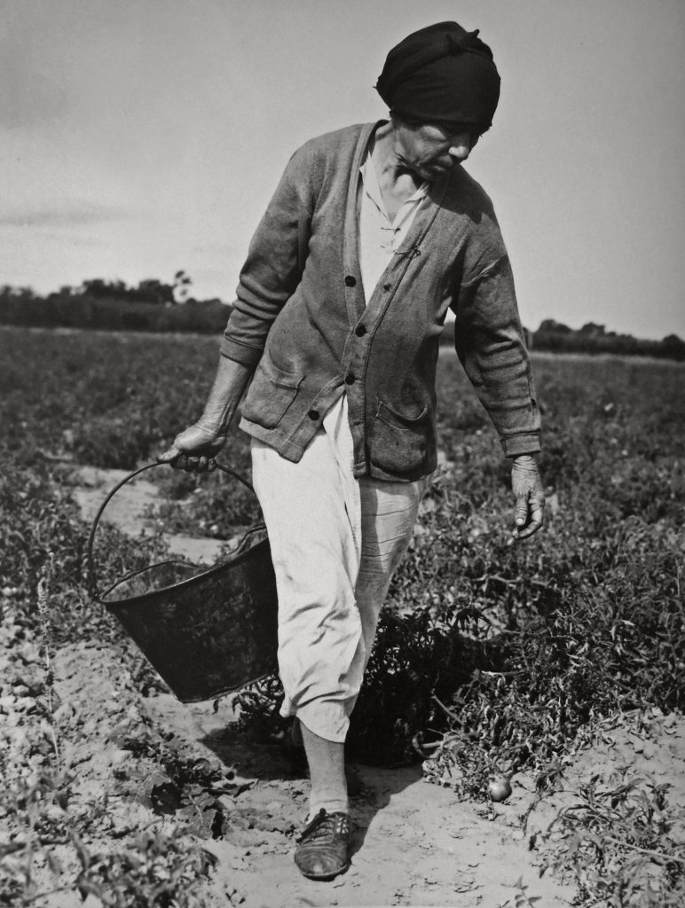 Dorothea Lange, Grand-mère mexicaine employée à ramasser des tomates en Californie, 1938
