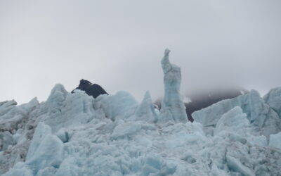 Lilliehöökbreen