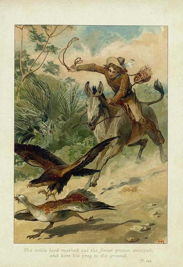 Les Robinson suisses, de Johann David Wyss, illustré par Heinrich Kley