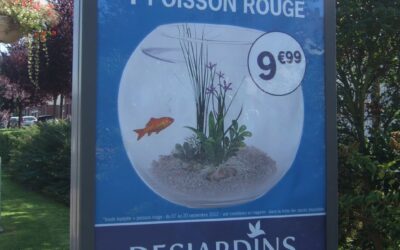Aquarium + poisson rouge