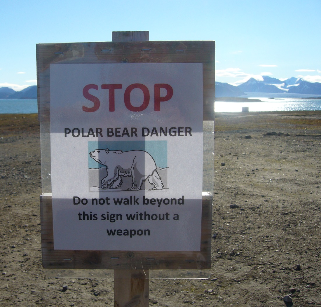 Panneau gauche d'ours polaire, Ny-Ålesund, Kongsfjorden, photo : mézigue, juillet 2012