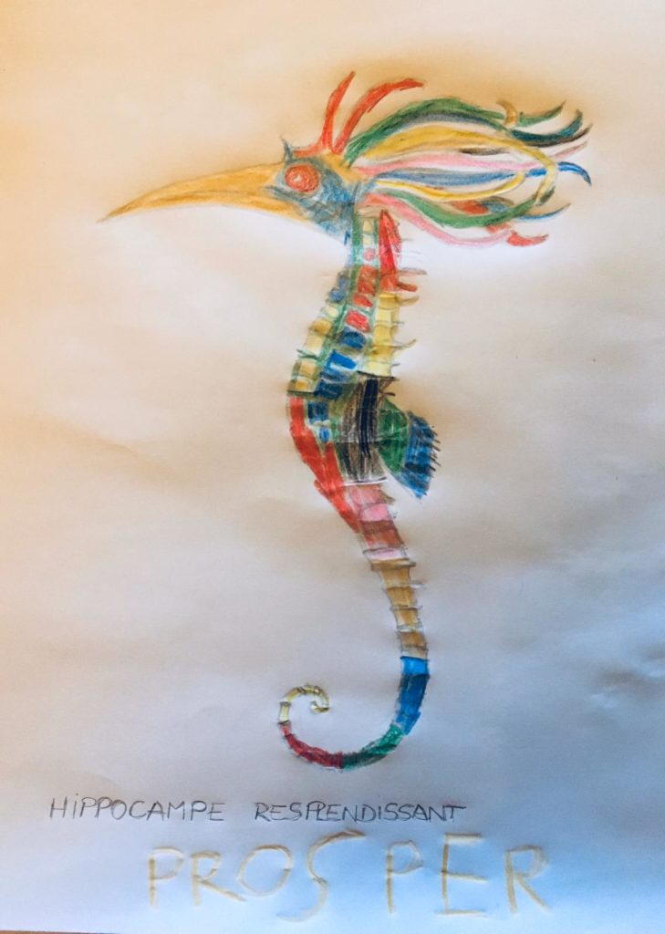L’hippocampe resplendissant colorié par Prosper, sur un dessin original de Philippe Mignon