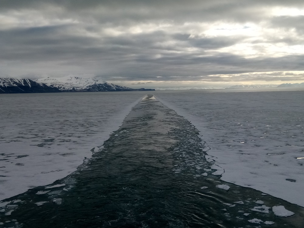 Sillage dans la glace au Tempelfjorden (Photo Arnaud Hédouin juin 2018)