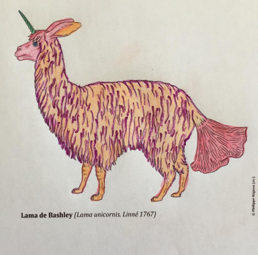Lama de Bashley colorié par Carmina sur un dessin original de Philippe Mignon
