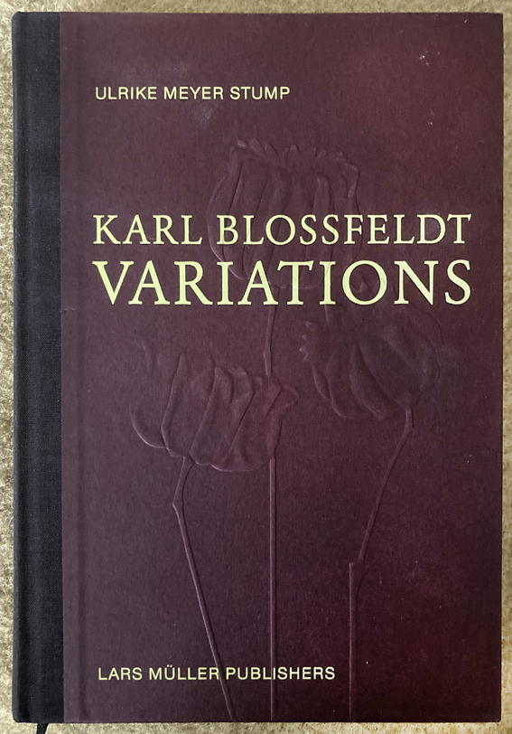 Karl Blossfeldt Variations, par Ulrike Meyer-Stump, publié par Lars Müller Publishers