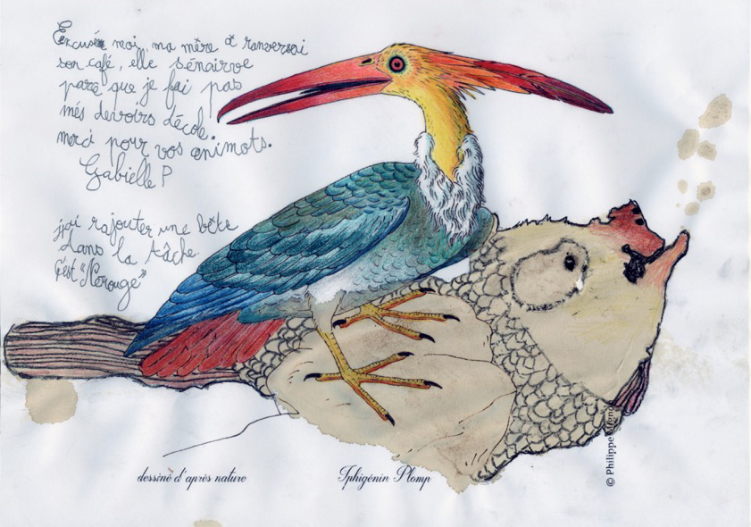 Un oiseau inconnu colorié par Gabielle P. (work in progress) sur un dessin original de Philippe Mignon