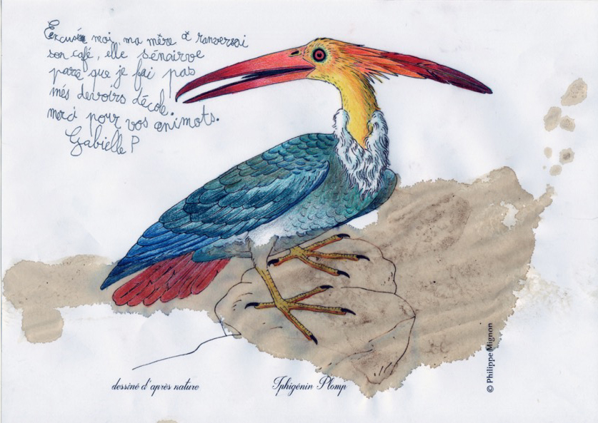 Un oiseau inconnu colorié par Gabielle P. sur un dessin original de Philippe Mignon