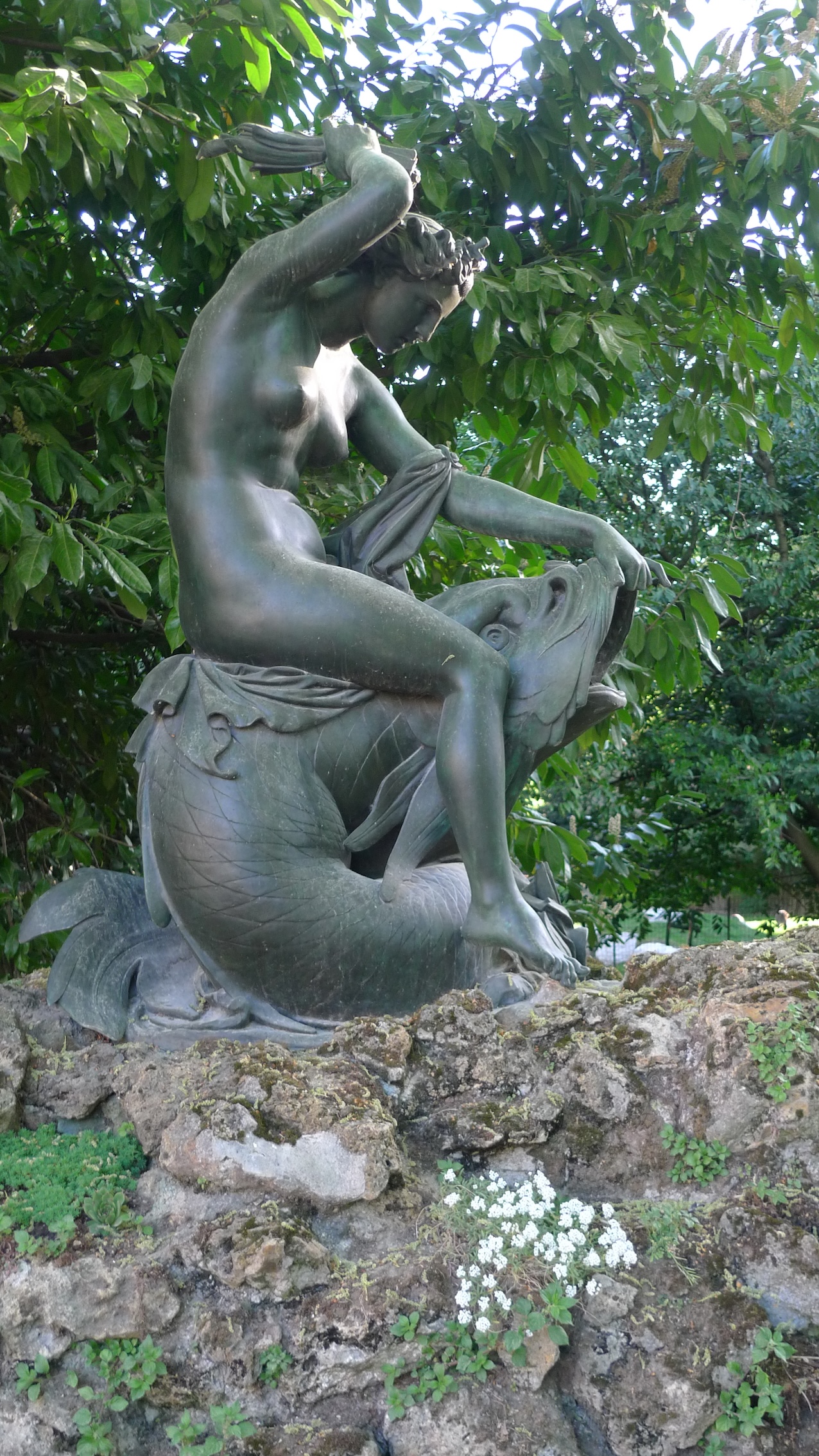 Le dauphin de Joseph Félon