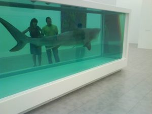Un des requins de Hirst, art formollement contemporain (DR) Un article d'Edouard Launet