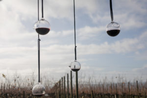 Vino sospeso (Matali Crasset). Verre de dégustation à l’extérieur pour des vins en biodynamie réalisé par les apprentis du CIAV de Meisenthal pour l’exposition “Renversant” à la cité du Vin de Bordeaux. Photo © Pascal Boudet