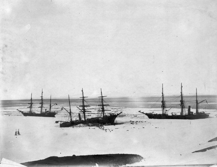 Le Discovery au centre et les deux navires de soutien, le Morning (à gauche) et le Terra Nova (à droite) en Antarctique pendant la British National Antarctic Expedition en février 1904 (Bibliothèque Nationale de Nouvelle-Zélande, Wellington)