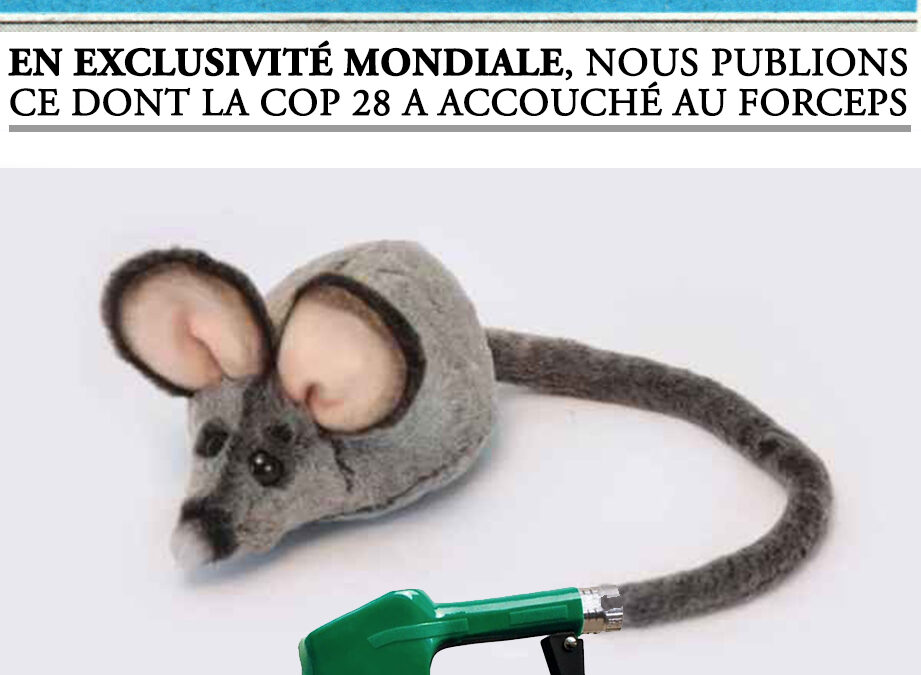 #COP28 au forceps
