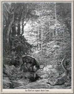 Gustave Doré, Le cerf se voyant dans l'eau