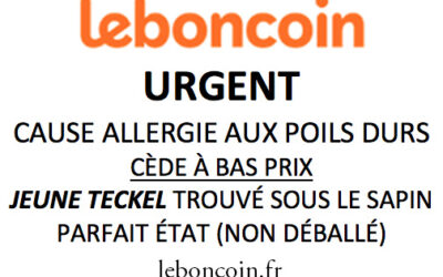 Cède à bas prix