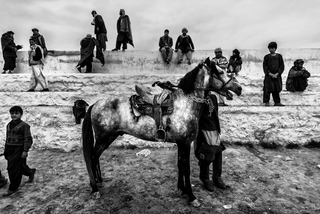 cheval afghanistan Majid Saeedi photoreporter Saint-Brieuc