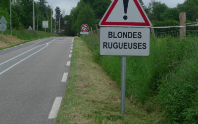 Blondes rugueuses