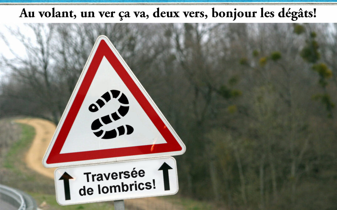 Un ver, ça va…