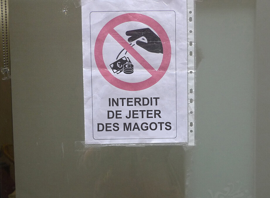 Toujours privilégier le recyclage!